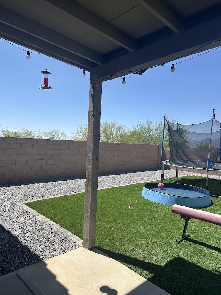 Action Yard and Tree Service project